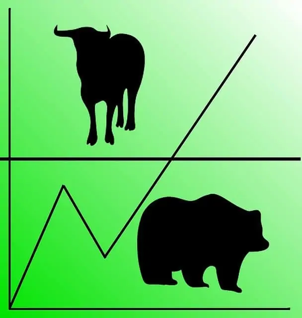 bull-and-bear-images