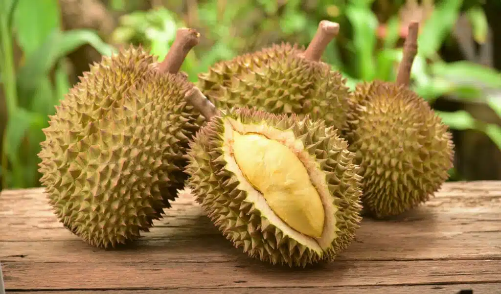 durian SS