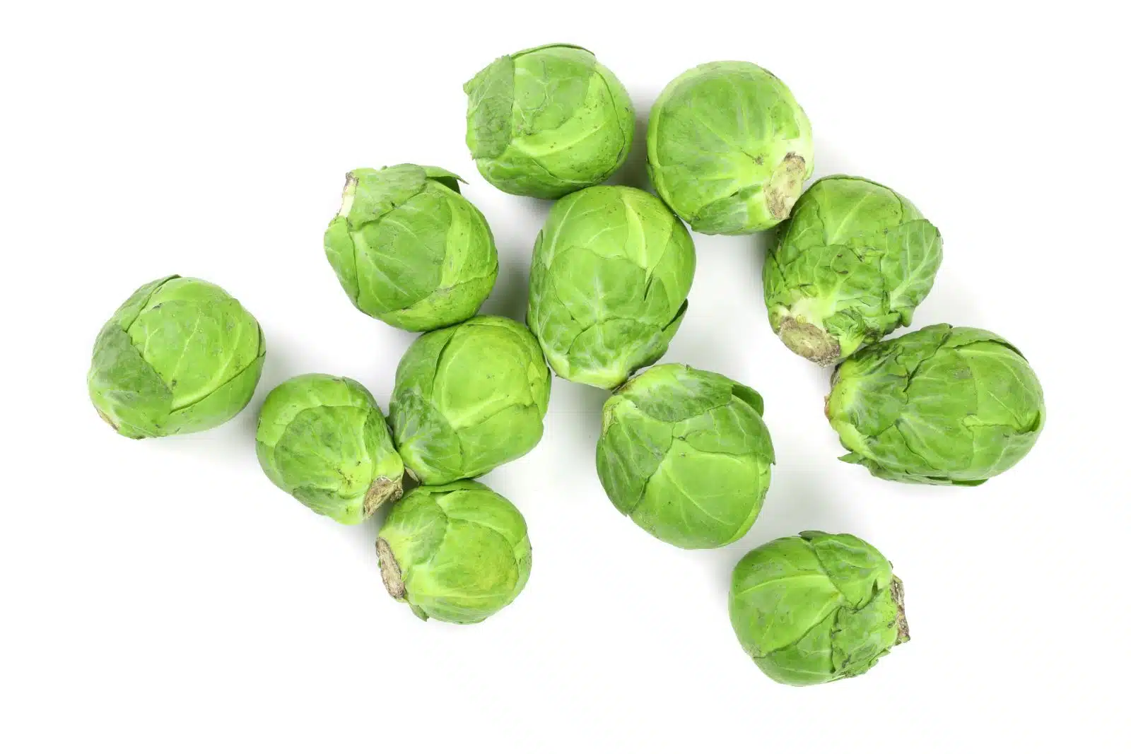 Brussel Sprouts Love or Hate Depositphotos 189103596 XL