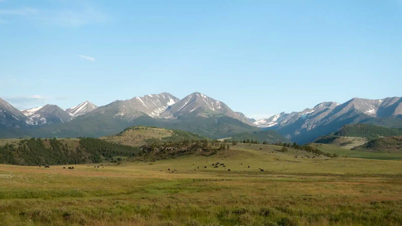 Crazy Mountain Range in Montana