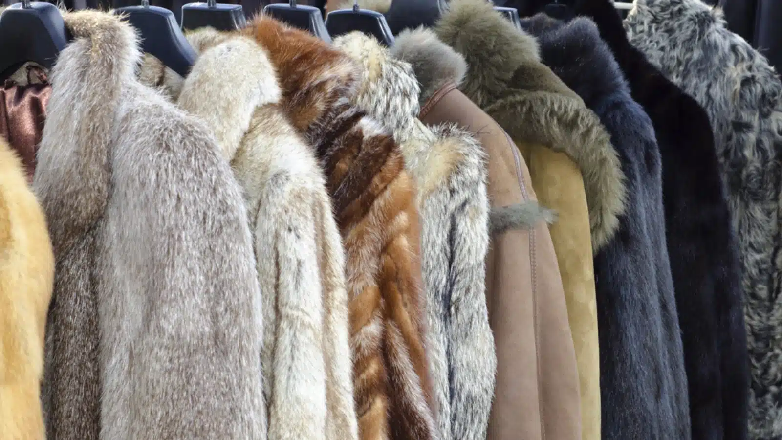 Coats made of animal fur