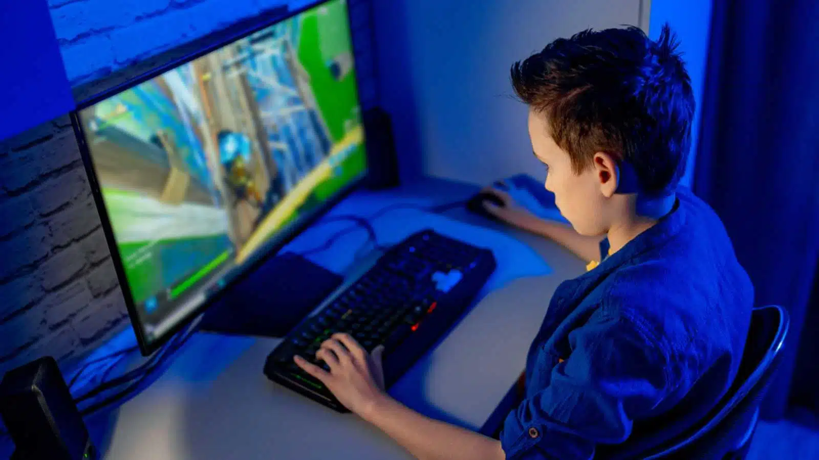 Kid playing in computer